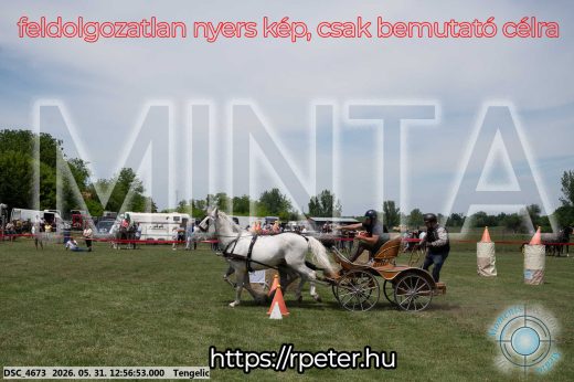 Mintakép 20260531-2501
