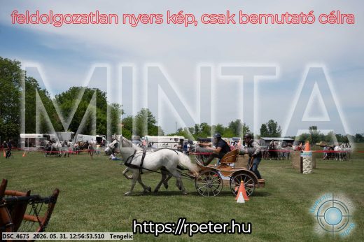 Mintakép 20260531-2503