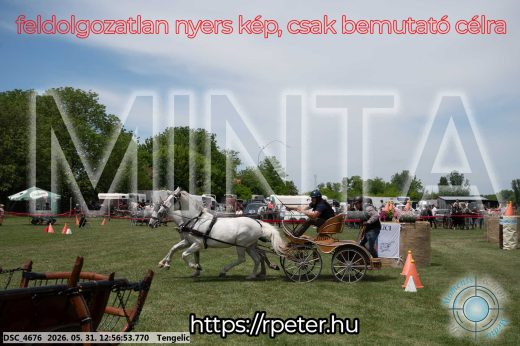 Mintakép 20260531-2504