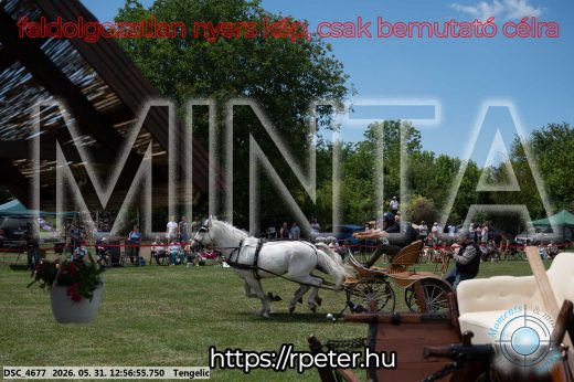 Mintakép 20260531-2505