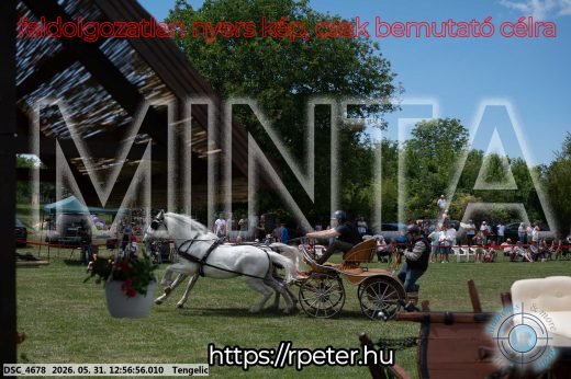 Mintakép 20260531-2506