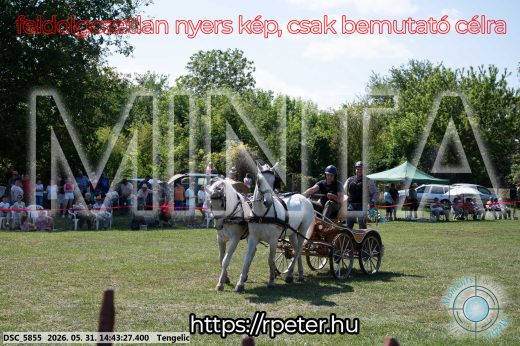 Mintakép 20260531-2510