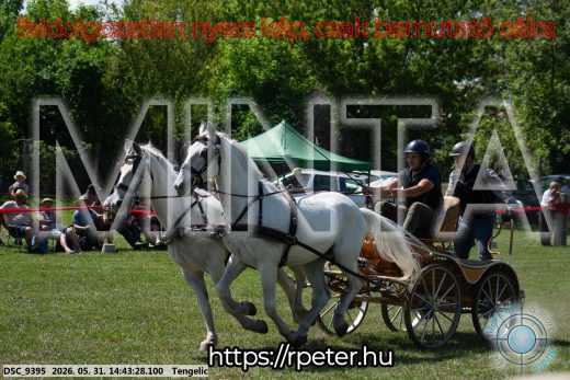 Mintakép 20260531-2511