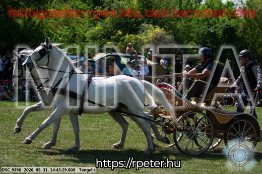 Mintakép 20260531-2512