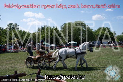Mintakép 20260531-2513