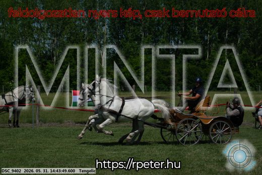 Mintakép 20260531-2517