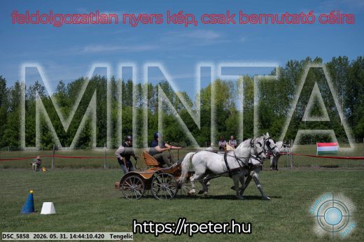 Mintakép 20260531-2519