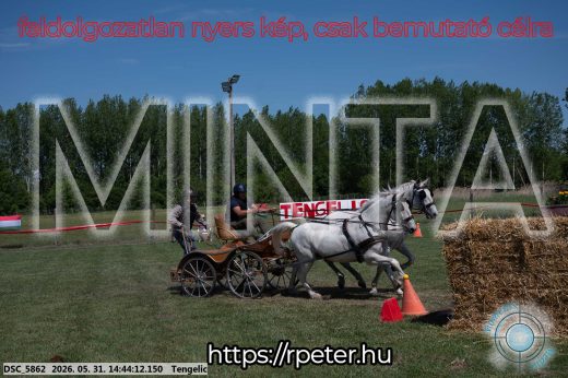Mintakép 20260531-2522