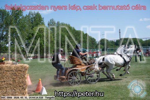 Mintakép 20260531-2524