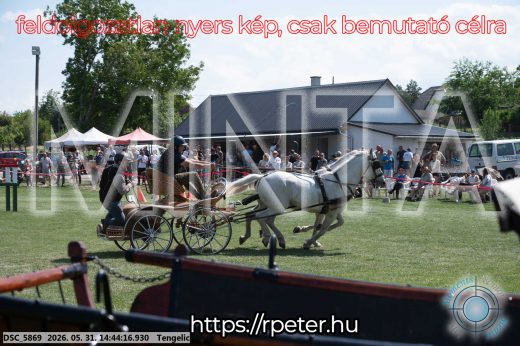Mintakép 20260531-2529