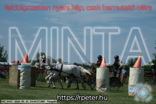 Mintakép 20260531-2534