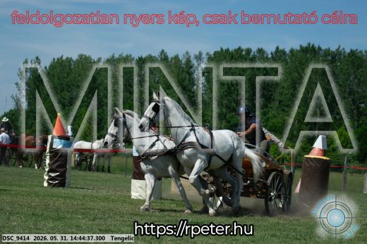 Mintakép 20260531-2535