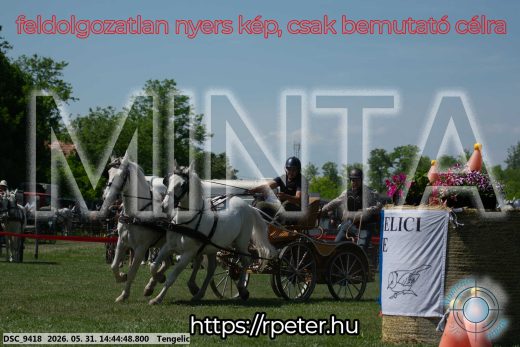 Mintakép 20260531-2538