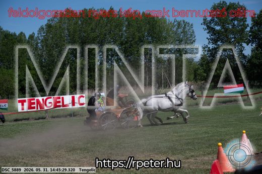 Mintakép 20260531-2541