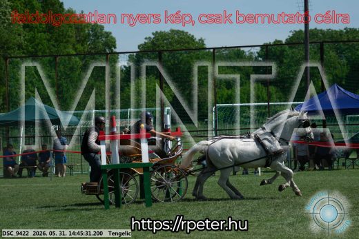 Mintakép 20260531-2542