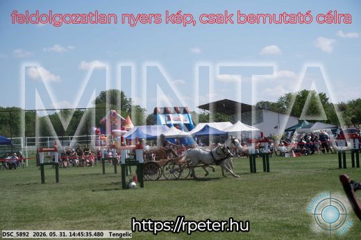 Mintakép 20260531-2543