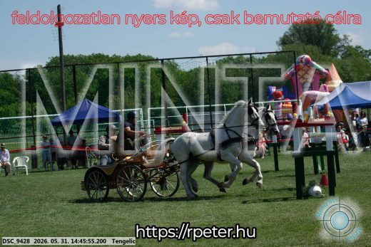 Mintakép 20260531-2544