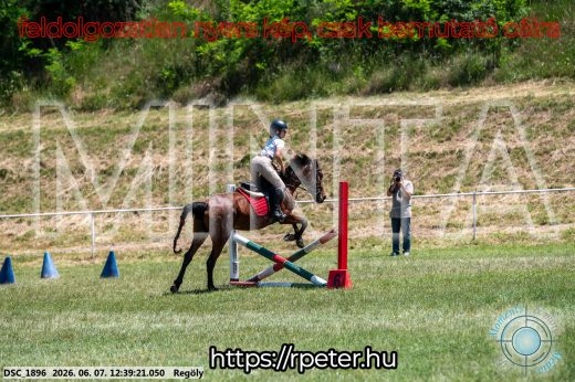 Mintakép 20260607-237