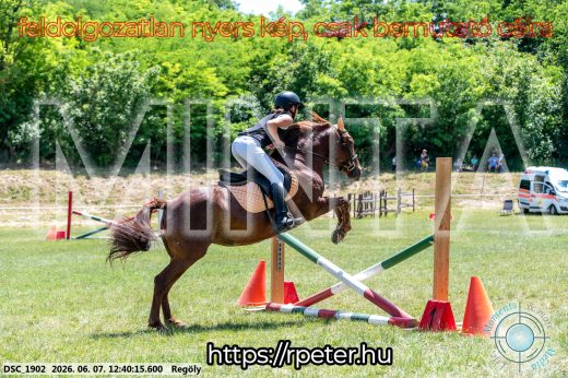 Mintakép 20260607-251