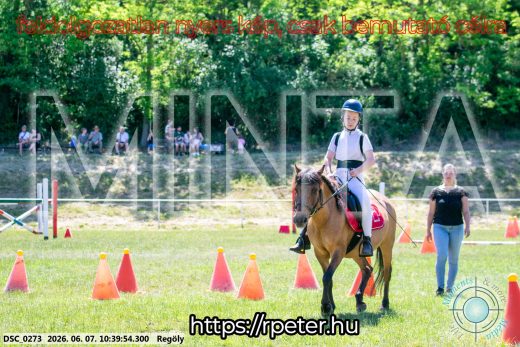 Mintakép 20260607-654