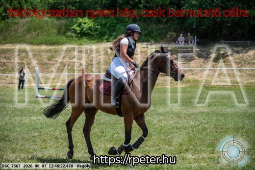 Mintakép 20260607-697