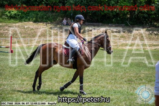 Mintakép 20260607-699