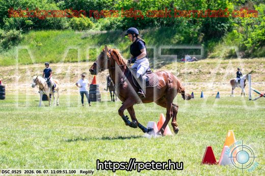Mintakép 20260607-988