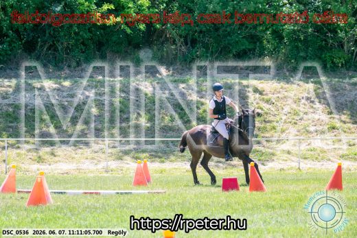 Mintakép 20260607-997