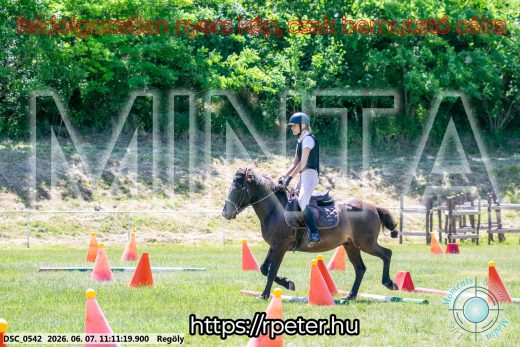 Mintakép 20260607-1002