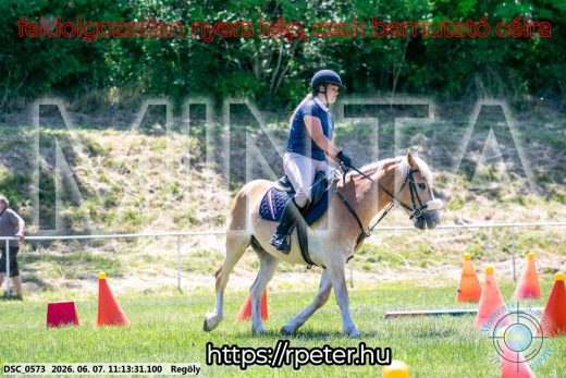 Mintakép 20260607-1025