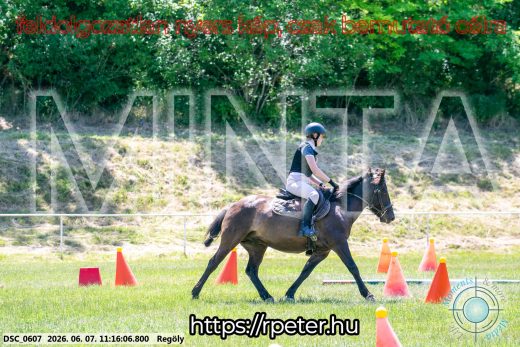 Mintakép 20260607-1053