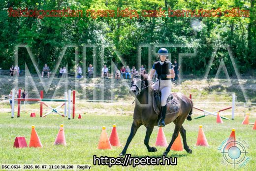 Mintakép 20260607-1058
