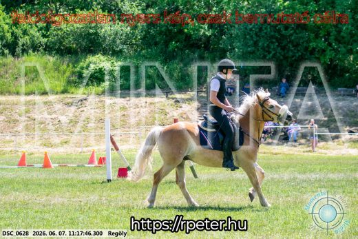 Mintakép 20260607-1070