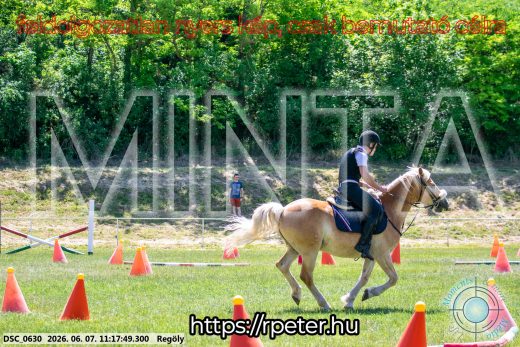 Mintakép 20260607-1072