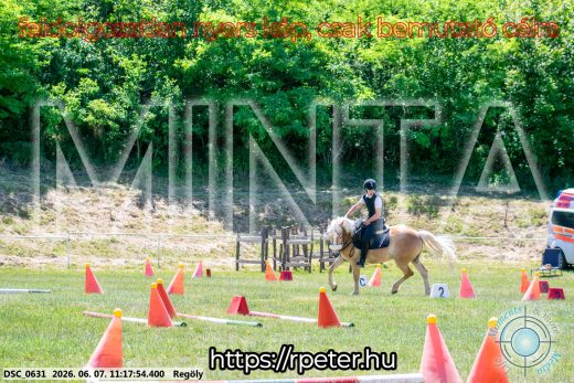 Mintakép 20260607-1073