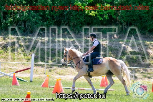 Mintakép 20260607-1077