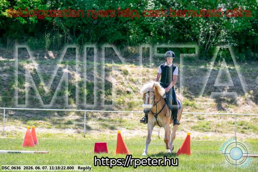 Mintakép 20260607-1078