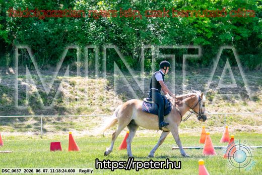 Mintakép 20260607-1079
