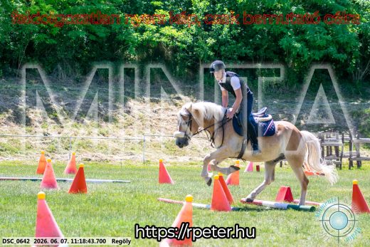 Mintakép 20260607-1081