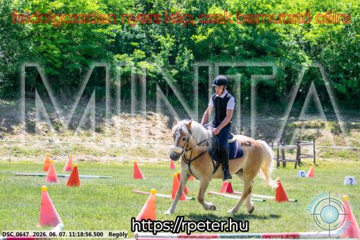 Mintakép 20260607-1085