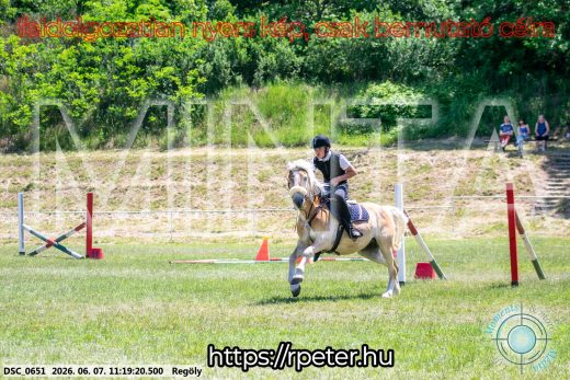 Mintakép 20260607-1088