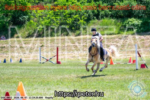 Mintakép 20260607-1089