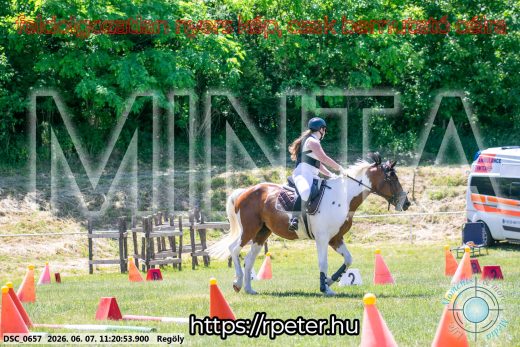 Mintakép 20260607-1093