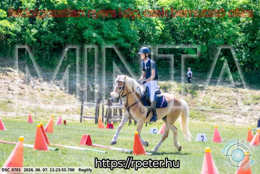 Mintakép 20260607-1128
