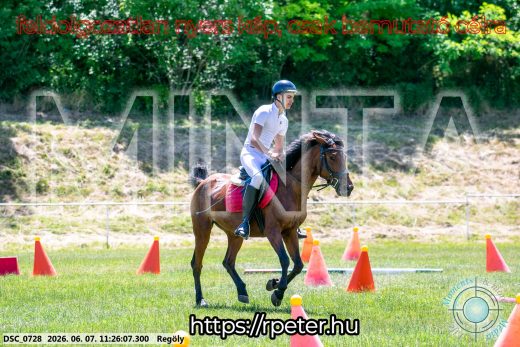 Mintakép 20260607-1147