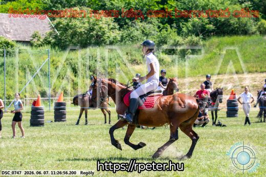 Mintakép 20260607-1164