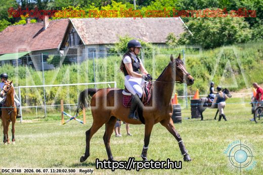 Mintakép 20260607-1166