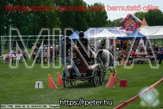 Mintakép 20260531-2281