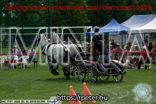 Mintakép 20260531-2282