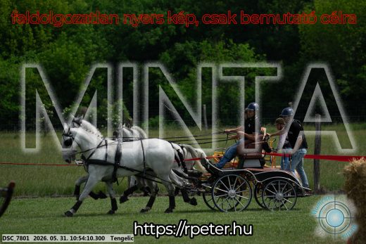 Mintakép 20260531-2283